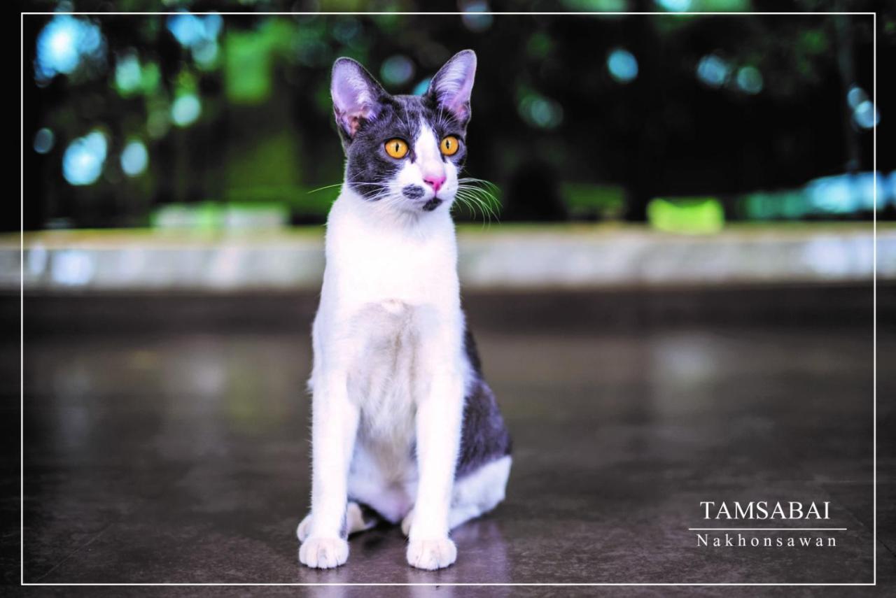 Tamsabai Hotel Nakhon Sawan Εξωτερικό φωτογραφία